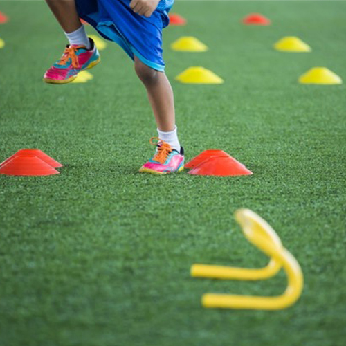 Agility Cones